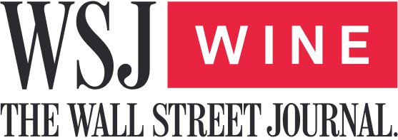 The North Face Logo