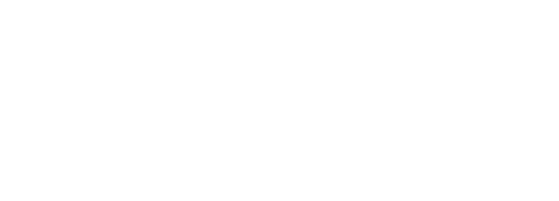 Vans Logo